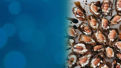 3 Decadent, Yet Healthful, Appetizers Everyone Will Love