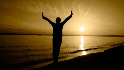 Evolving Enlightenment