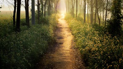 Welcome the Journey
