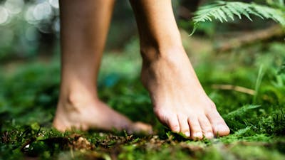 Meditation: Dankbarkeit und Integration