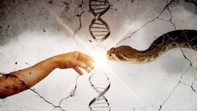 Sumerian Kings List and Annunaki Oaths