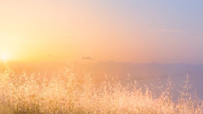 Abundance and Wholeness: Audio Meditation