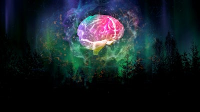 Conexión cuerpo mente