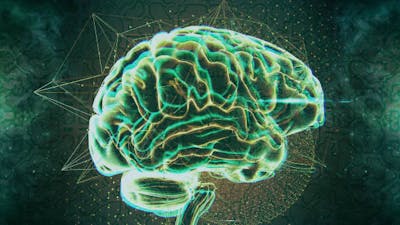 Psychedelika und Bewusstsein