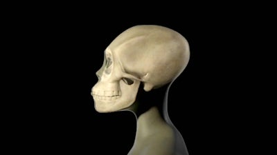 Reconstrucciones Virtuales  - Virtual Reconstructions