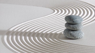 The Gift of Knowledge (Elizabeth Joyce)