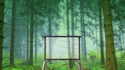 Rediseñando el mañana