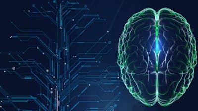 Présentation de Votre Cerveau