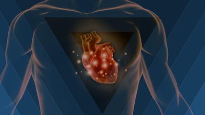 Armonía entre el corazón y el cerebro