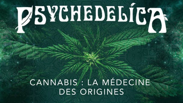 Cannabis : la médecine des origines