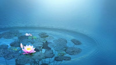 Meditación para compartir con niños