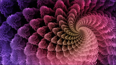 Decoding Sacred Architecture