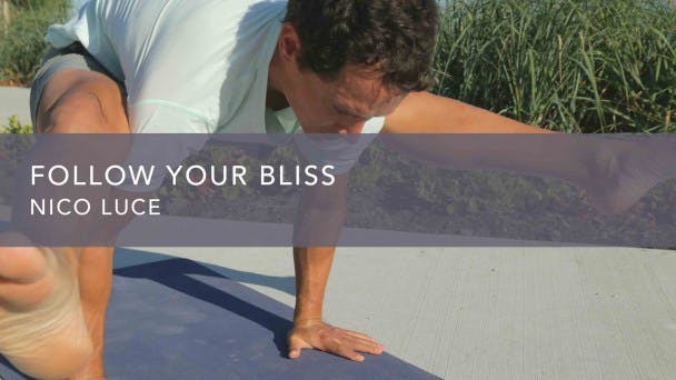 Follow Your Bliss