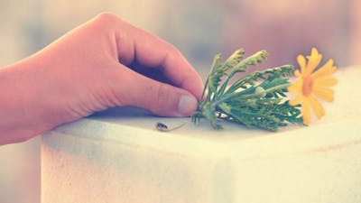 Let's Talk about Death with Gail Rubin