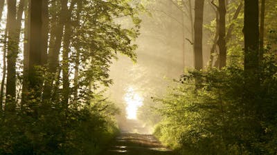 Le chemin : la vie après la mort