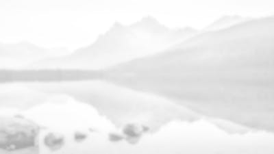 The Power of Intention: The Experiment
