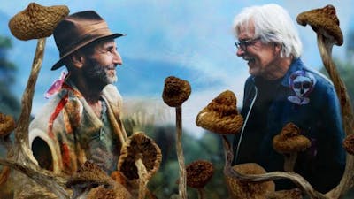 Descending the Mountain