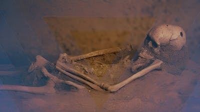 Verdades profundas sobre nuestro origen