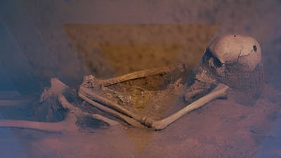 Verdades profundas sobre nuestro origen