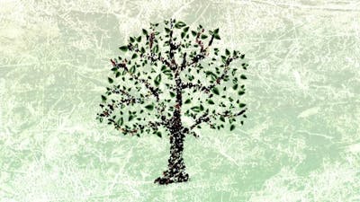 Introduction to the Ubuntu Movement