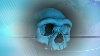 Denisovan Dragon Man