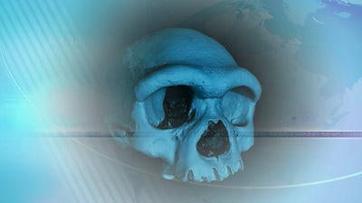 Denisovan Dragon Man