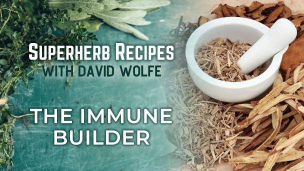 The Immune Builder