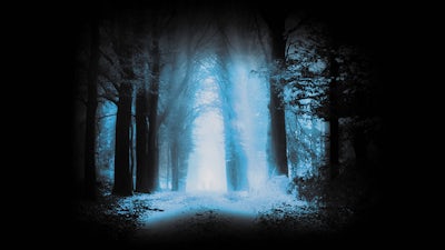 Le chemin : au-delà du monde physique