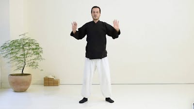 Le Qi-Gong des 5 éléments - Le bois