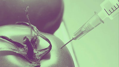 How to Recognize and Avoid GMOs