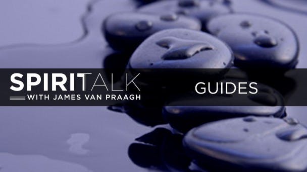 Guides