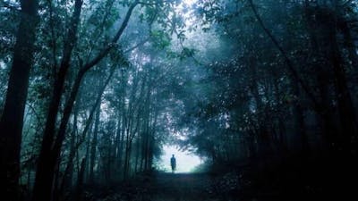 Die Übersinnlichen - Extra