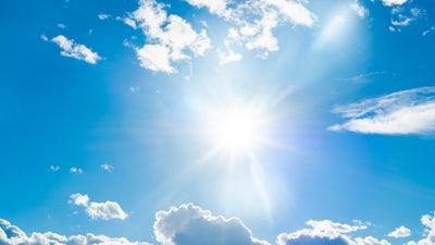 Savourer le calme matinal