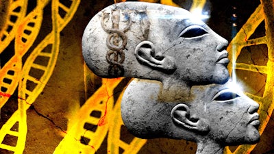 Elongated Head DNA Discovery