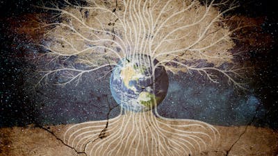 El Árbol de la Vida