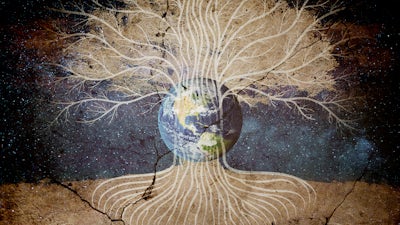 El Árbol de la Vida