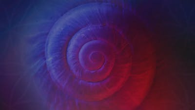 Spirals