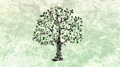 Introduction to the Ubuntu Movement