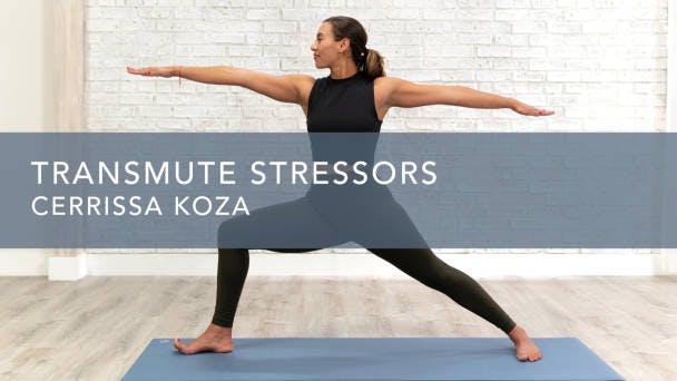 Transmute Stressors
