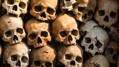 Skeletal Shrines with Paul Koudounaris