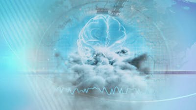 Can a New Brainwave Study Explain What Happens When We Die?