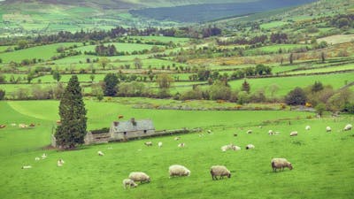 Michael Tsarion about the Irish Origins of Civilization (Part 2)