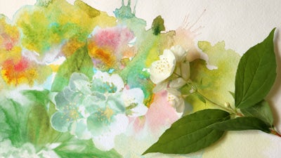 Adele Seronde on Our Sacred Garden – The Living Earth