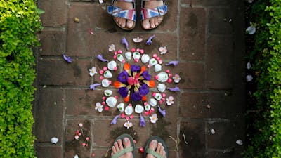 Cómo hacer una mándala con plantas