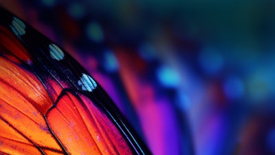 Preview Season 4 of Emersion Conference