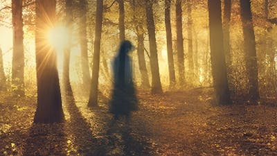 Fenómenos sin explicar y el Sol, con Jack Cary