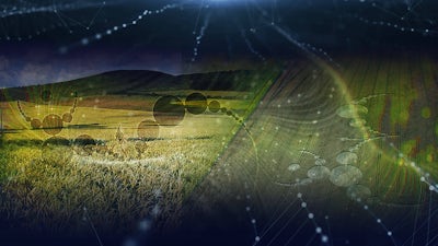 Agrogramas en Fechas Especiales