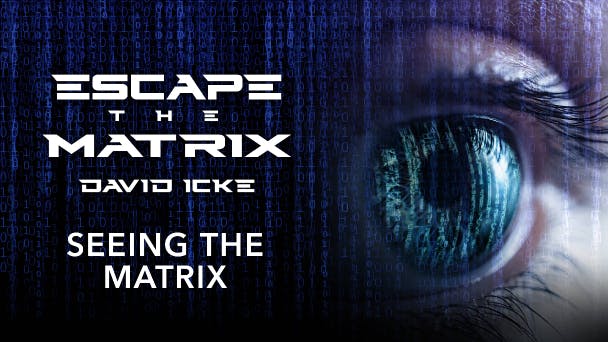 Seeing the Matrix 