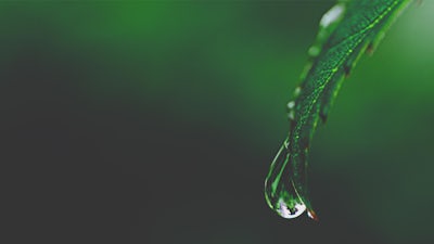 Practice with Intention