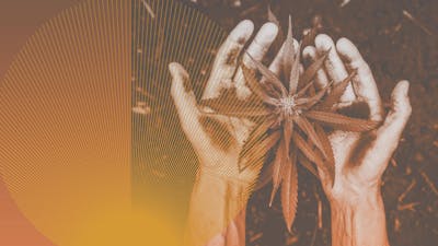 On Drug Use and Society